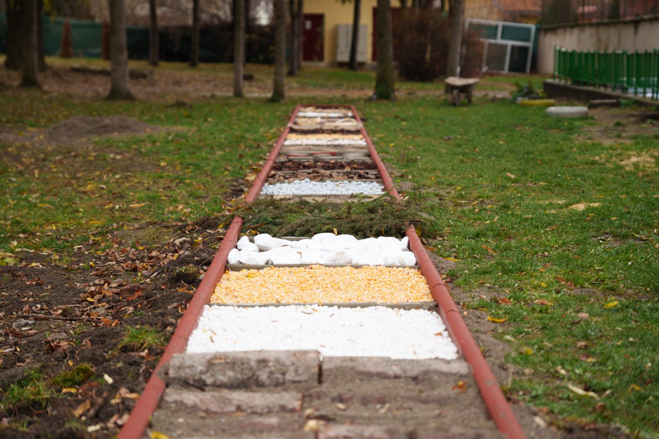 •  Fotó: Tuchiluș Alex