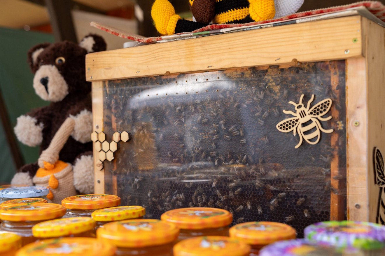 Méhészek is károsultak a lopás következtében •  Fotó: Sepsiszentgyörgyi önkormányzat/facebook