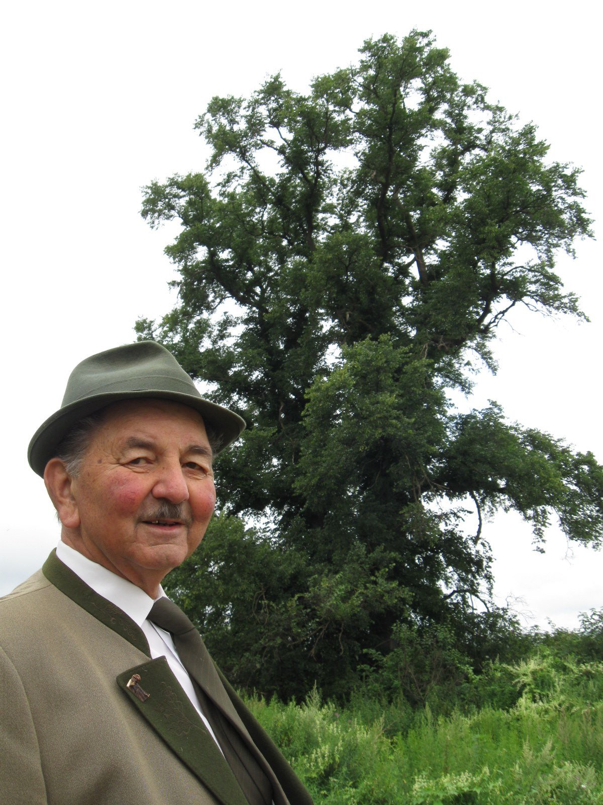 Antal Jenő javaslatára nevezték be a versenyre a szilt, később rá emlékezve nevezték el a fát •  Fotó: Demeter Zoltán személyes archívuma