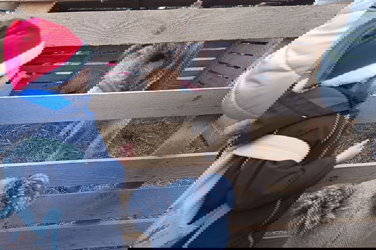 &bullet;  Fotó: Bodor Tünde