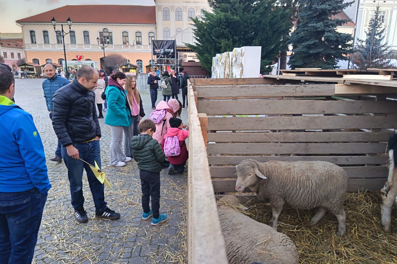 • Fotó: Bodor Tünde