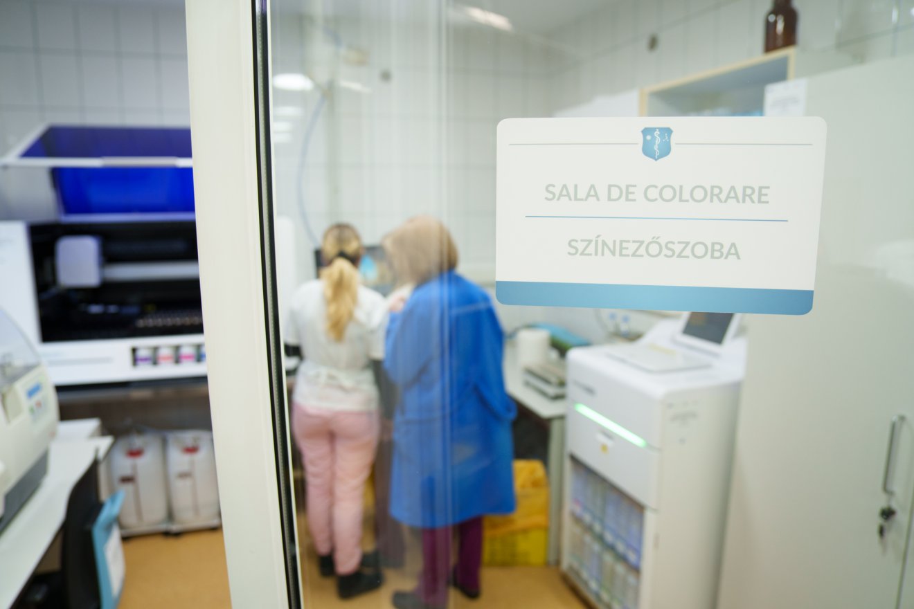 &bullet;  Fotó: Tuchiluș Alex