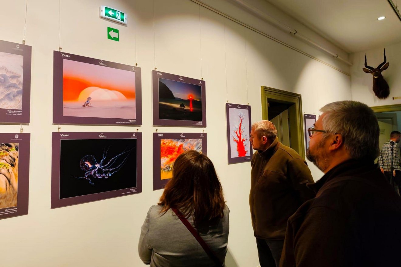 &bullet;  Fotó: Bunta Anna