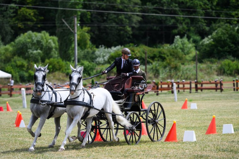 Megvan az oltszemi kettesfogathajtó-verseny időpontja