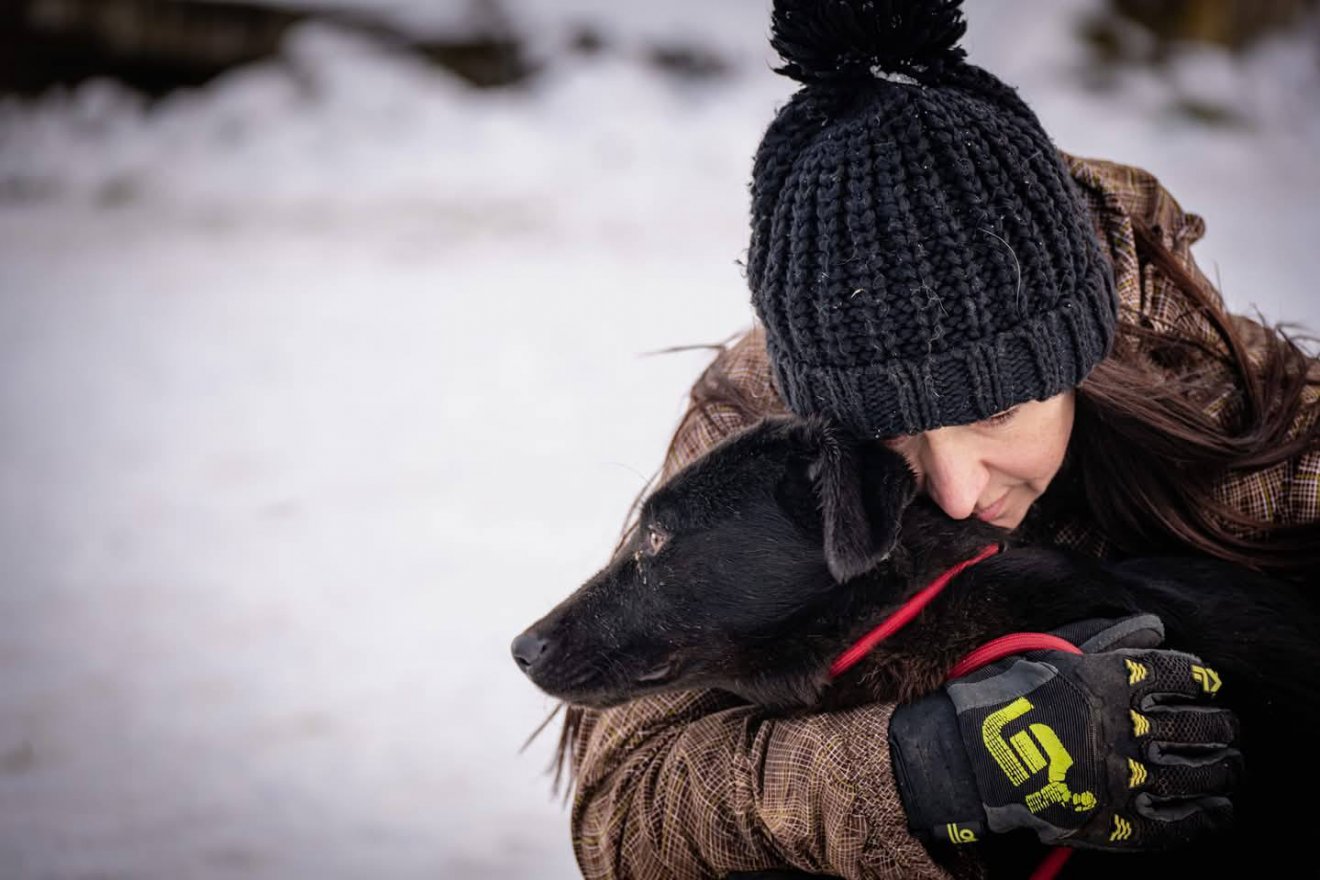 Kiáll a négylábúakért az AMY Gazdátlan Ebekért Egyesület •  Fotó: Sepsiszentgyörgyi Kóborkutya Menhely/Facebook