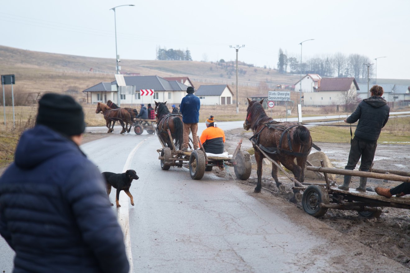 &bullet;  Fotó: Tuchiluș Alex