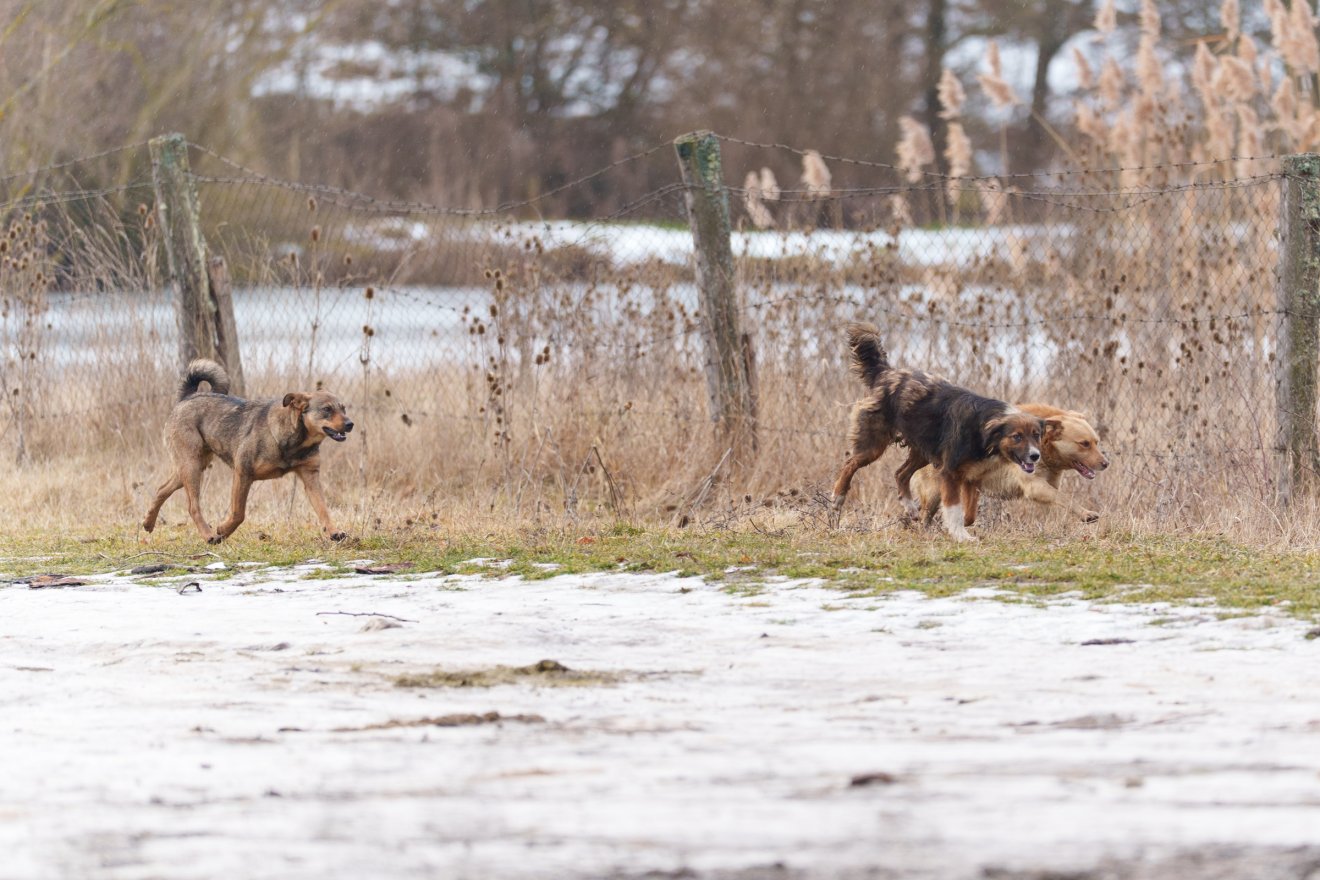 &bullet;  Fotó: Tuchiluș Alex