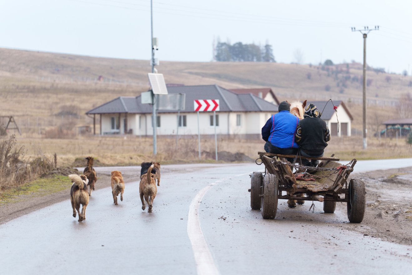 &bullet;  Fotó: Tuchiluș Alex