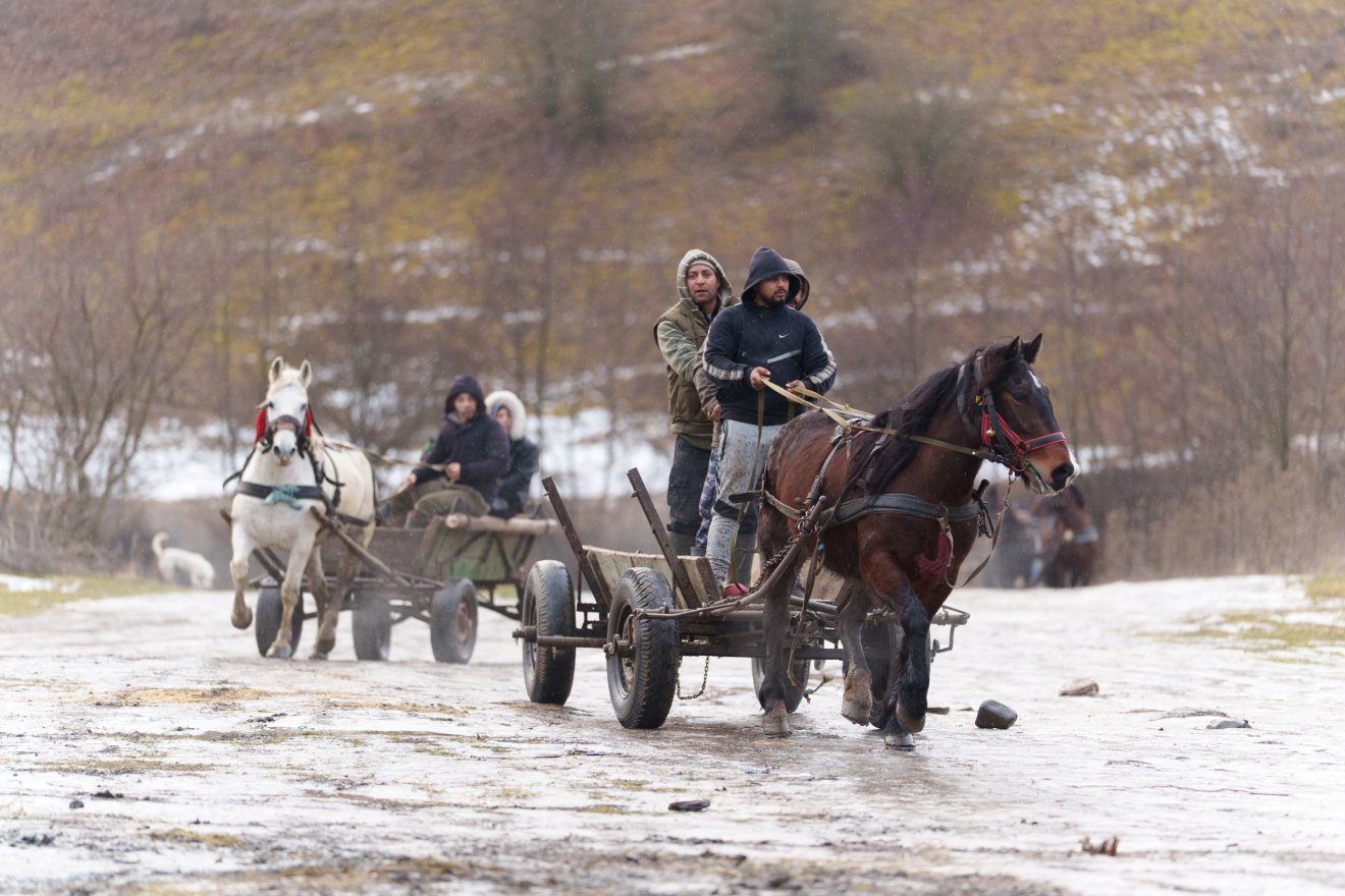 &bullet;  Fotó: Tuchiluș Alex