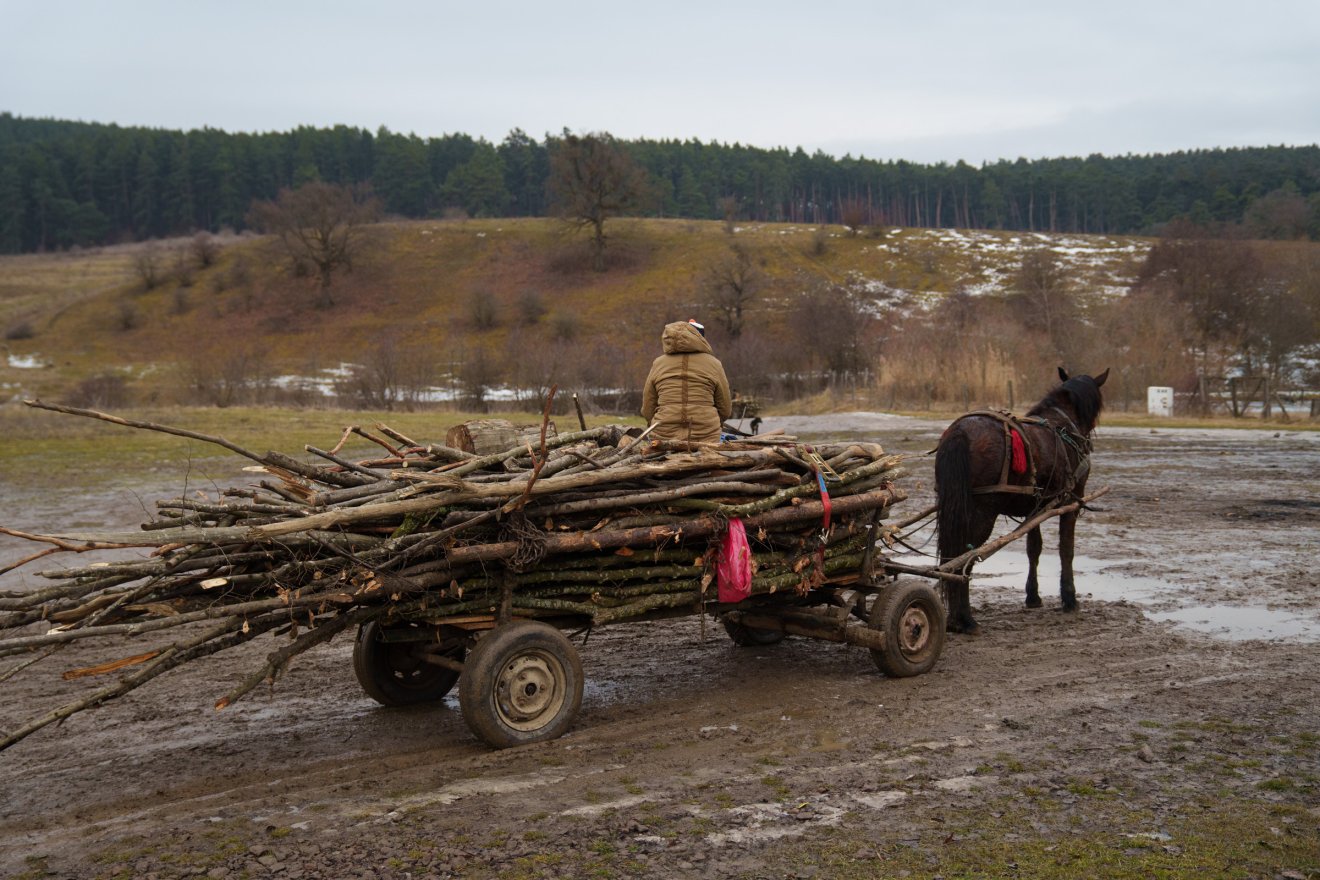 &bullet;  Fotó: Tuchiluș Alex