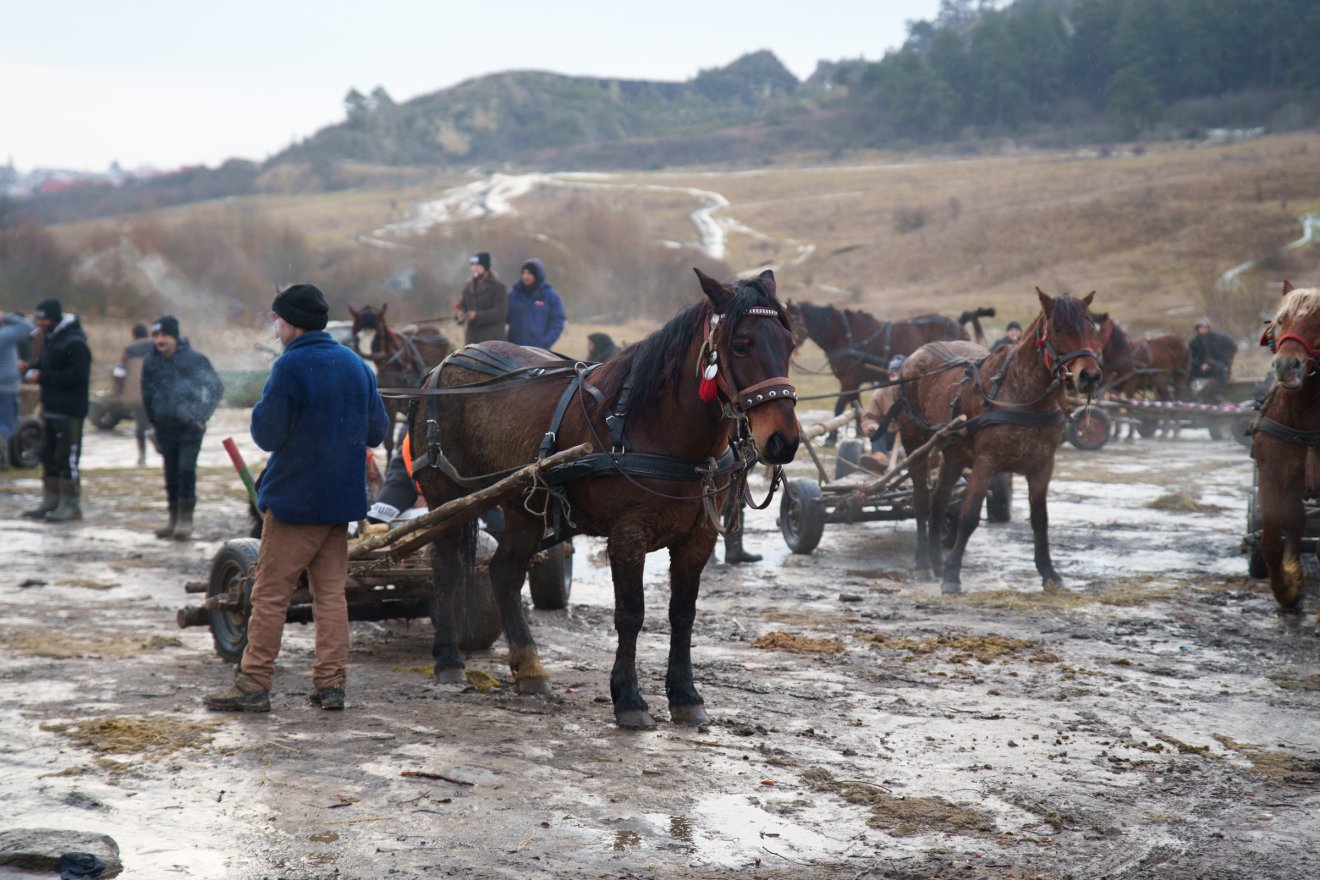 &bullet;  Fotó: Tuchiluș Alex