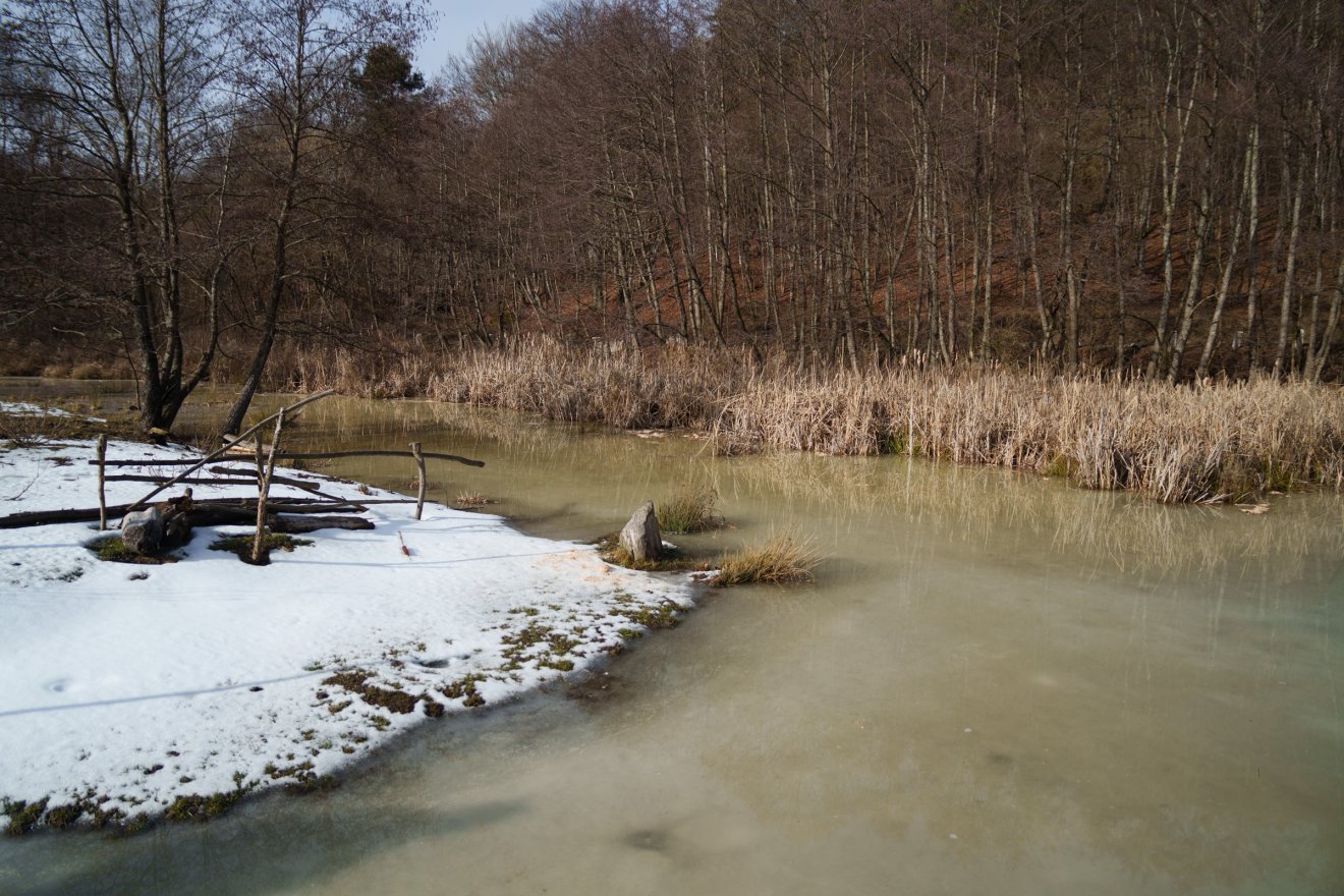 Az úgynevezett ötös tónál hódlest alakítottak ki, hogy hosszú távon, közelebbről megfigyeljék a viselkedésüket &bullet;  Fotó: Tuchiluș Alex