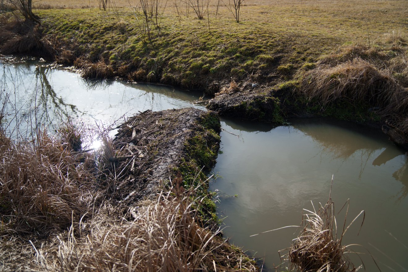 Zsiliprendszert építenek: a szárazság mértékétől függően ezeket elzárják, vagy éppen megengedik &bullet;  Fotó: Tuchiluș Alex