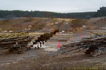 Törvényes alternatíva az erdő védelmében: szervezett fagyűjtés Sepsiszentgyörgy térségében