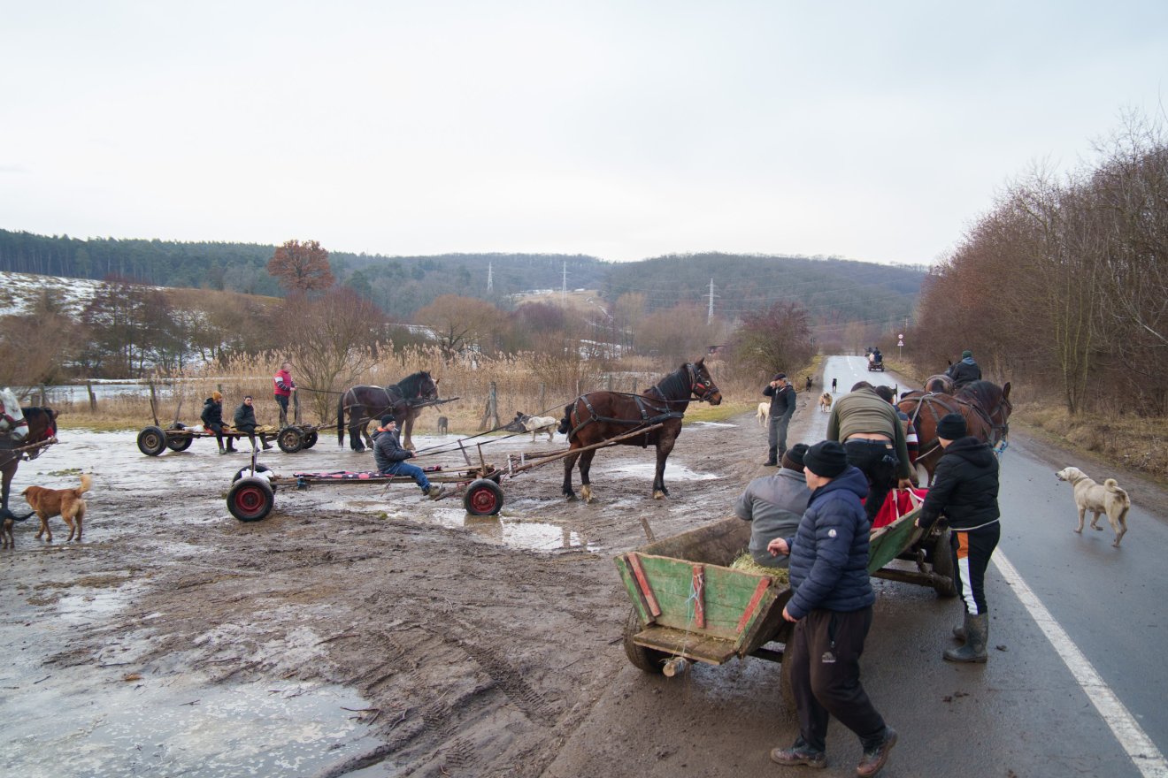 Törvényes alternatíva az erdő védelmében: szervezett fagyűjtés Sepsiszentgyörgy térségében