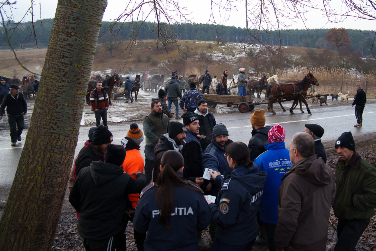 Törvényes alternatíva az erdő védelmében: szervezett fagyűjtés Sepsiszentgyörgy térségében