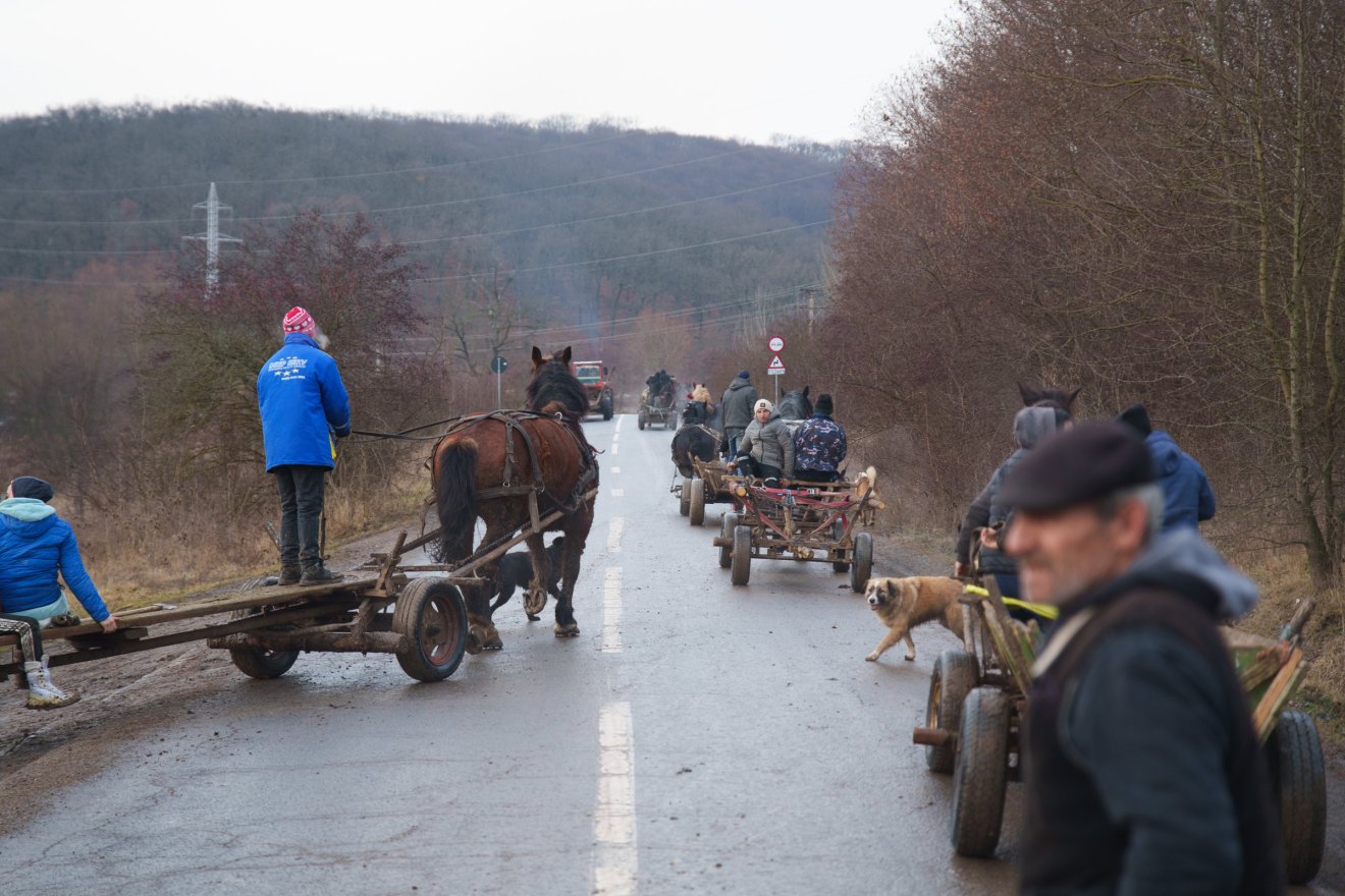 Törvényes alternatíva az erdő védelmében: szervezett fagyűjtés Sepsiszentgyörgy térségében