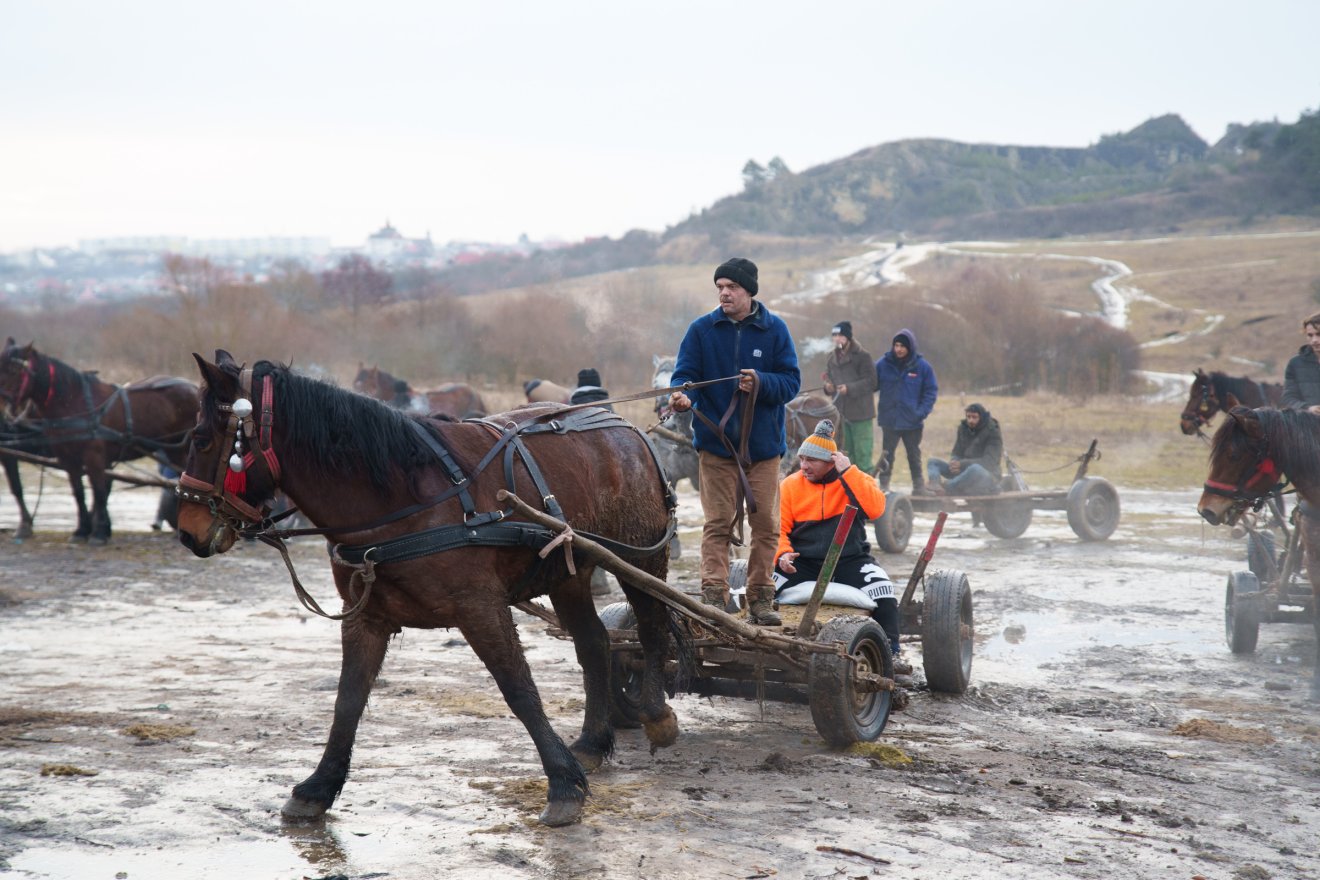 Törvényes alternatíva az erdő védelmében: szervezett fagyűjtés Sepsiszentgyörgy térségében