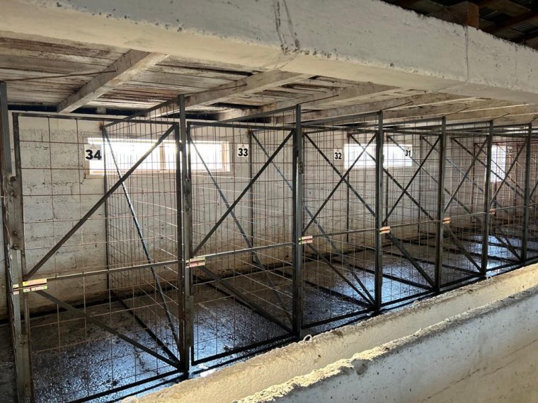 Székelyföldön is szerződtek a botrányos hírű kutyamenhely működtetőjével