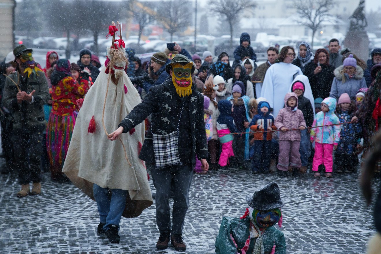 Kínálták a kecskét, de megvenni senki sem akarta &bullet;  Fotó: Tuchiluș Alex