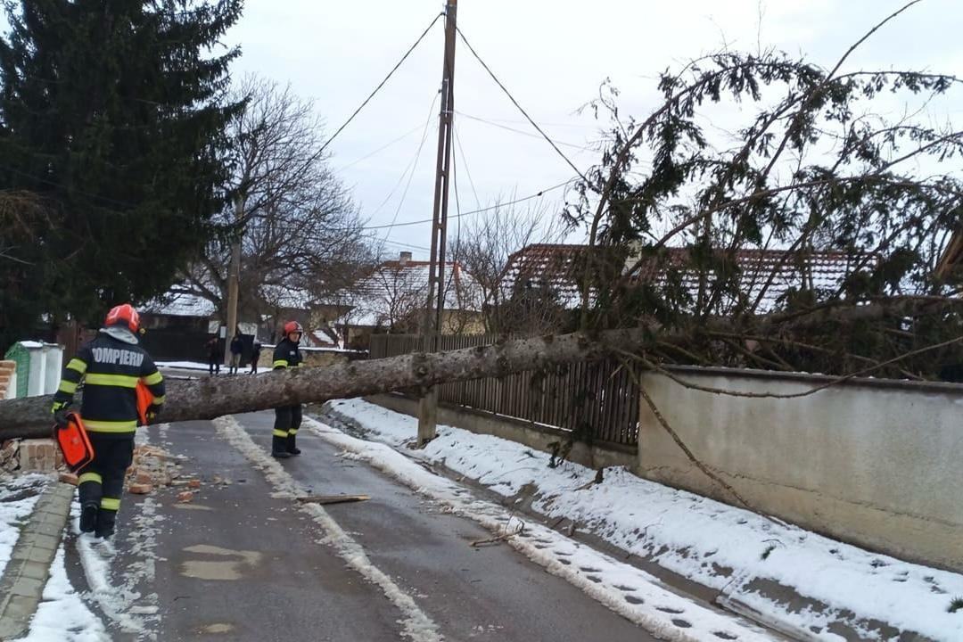 Kidőlt fákat is eltávolítottak a tűzoltók &bullet;  Fotó: Kovászna megyei tűzoltóság