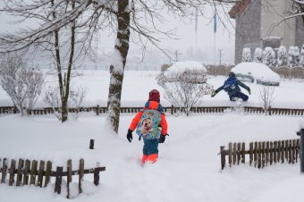 31 centiméteres a hóvastagság Csíkszeredában, 44 centiméter a Bucsinon