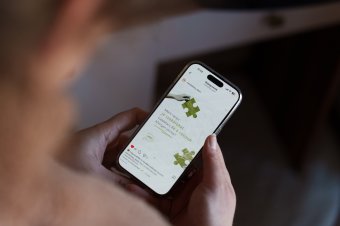 Őszintén és közérthetően a mentális egészségről – öt erdélyi pszichológus közös küldetése