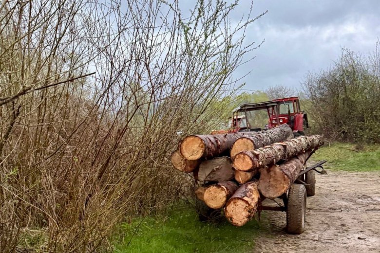 Tettenérés után szekereket, traktort és láncfűrészt koboztak el