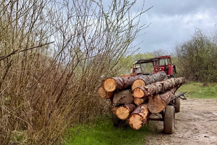 Tettenérés után szekereket, traktort és láncfűrészt koboztak el