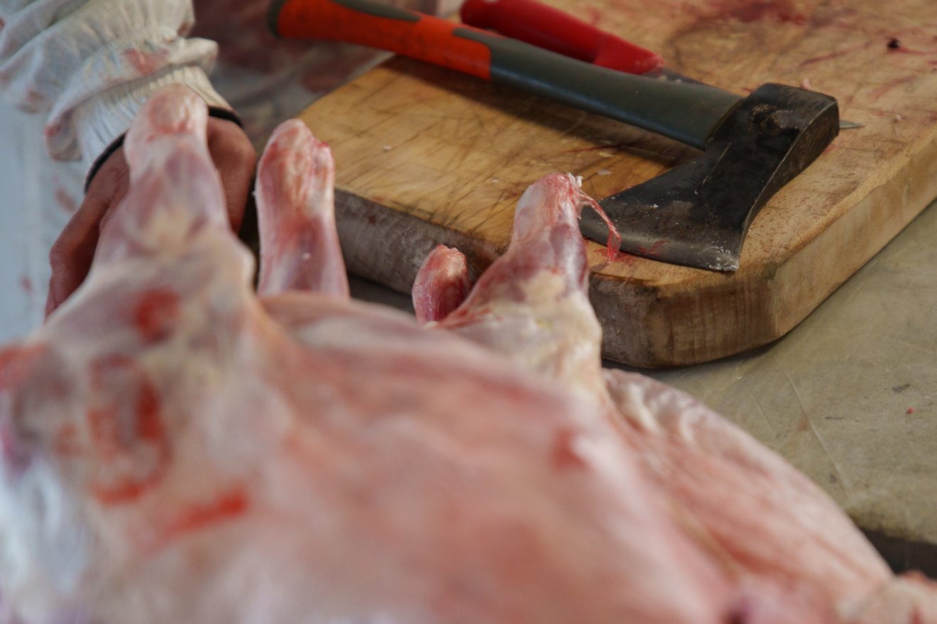 Képünk illusztráció • Fotó: Tuchiluș Alex