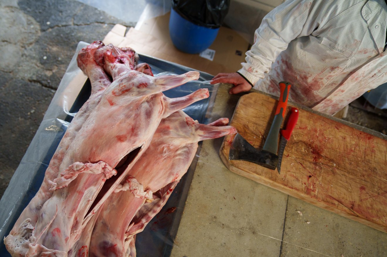 &bullet;  Fotó: Tuchiluș Alex