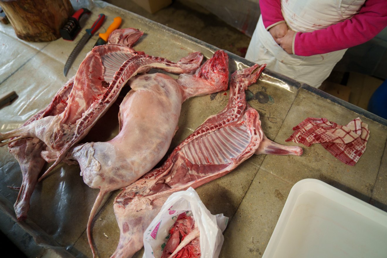 &bullet;  Fotó: Tuchiluș Alex