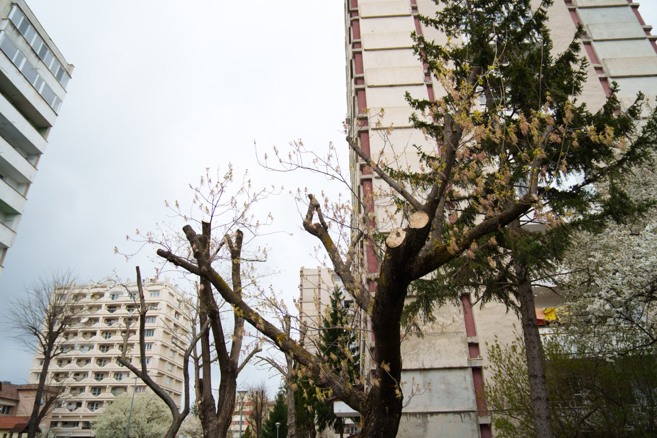 &bullet;  Fotó: Tuchiluș Alex