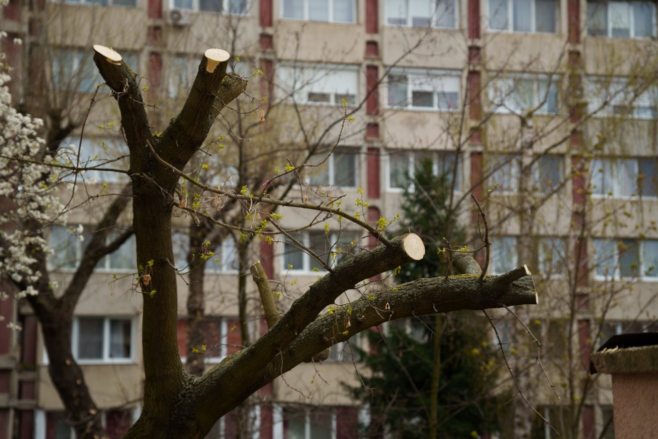 Csúnya, de szakszerű - állítja az önkormányzat képviselője &bullet;  Fotó: Tuchiluș Alex