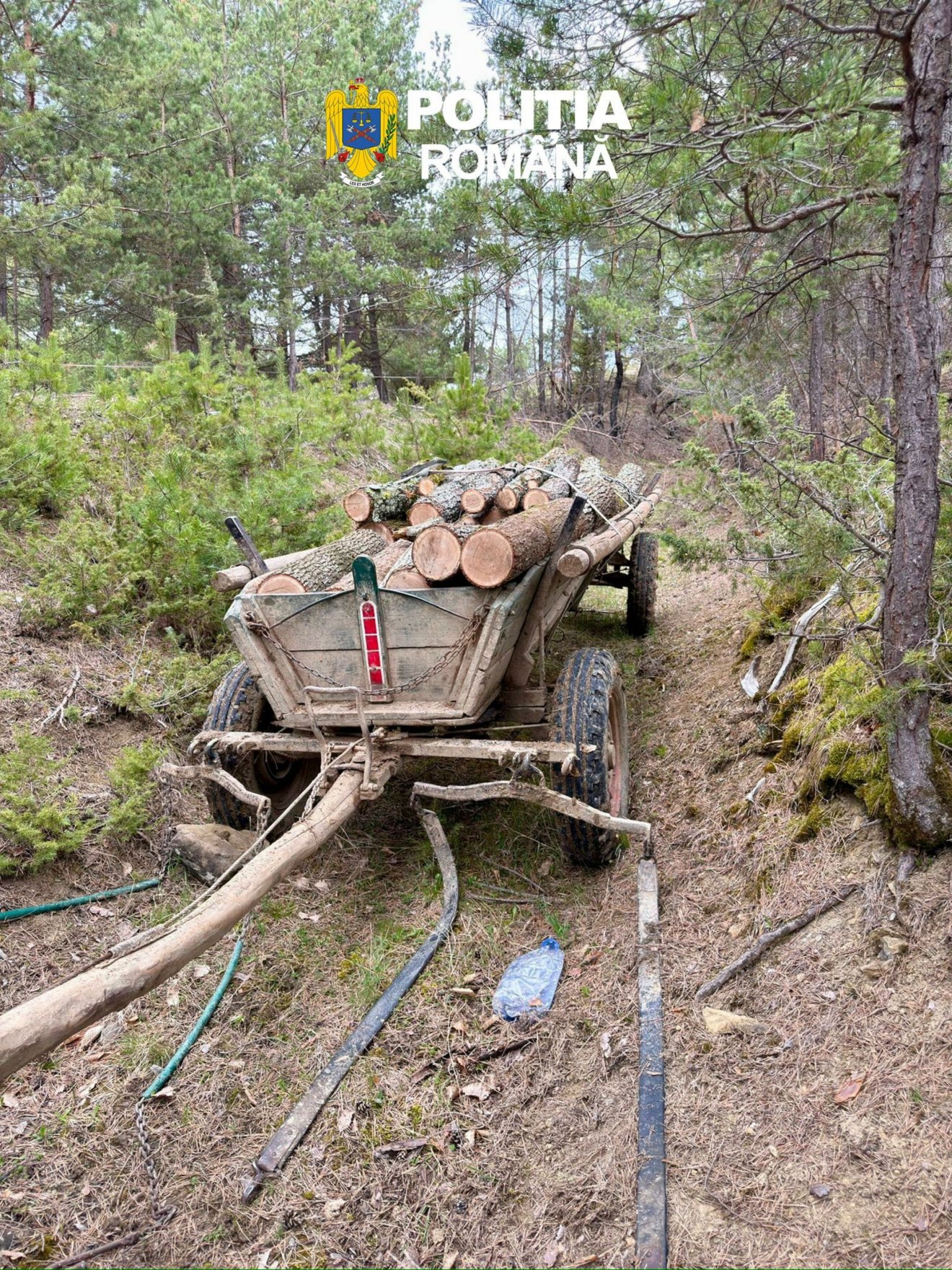 &bullet;  Fotó: Kovászna megyei rendőrség
