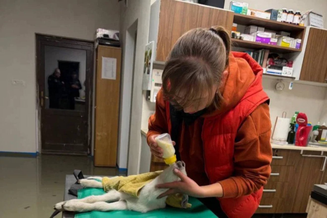 &bullet;  Fotó: Sepsiszentgyörgyi Helyi Rendőrség