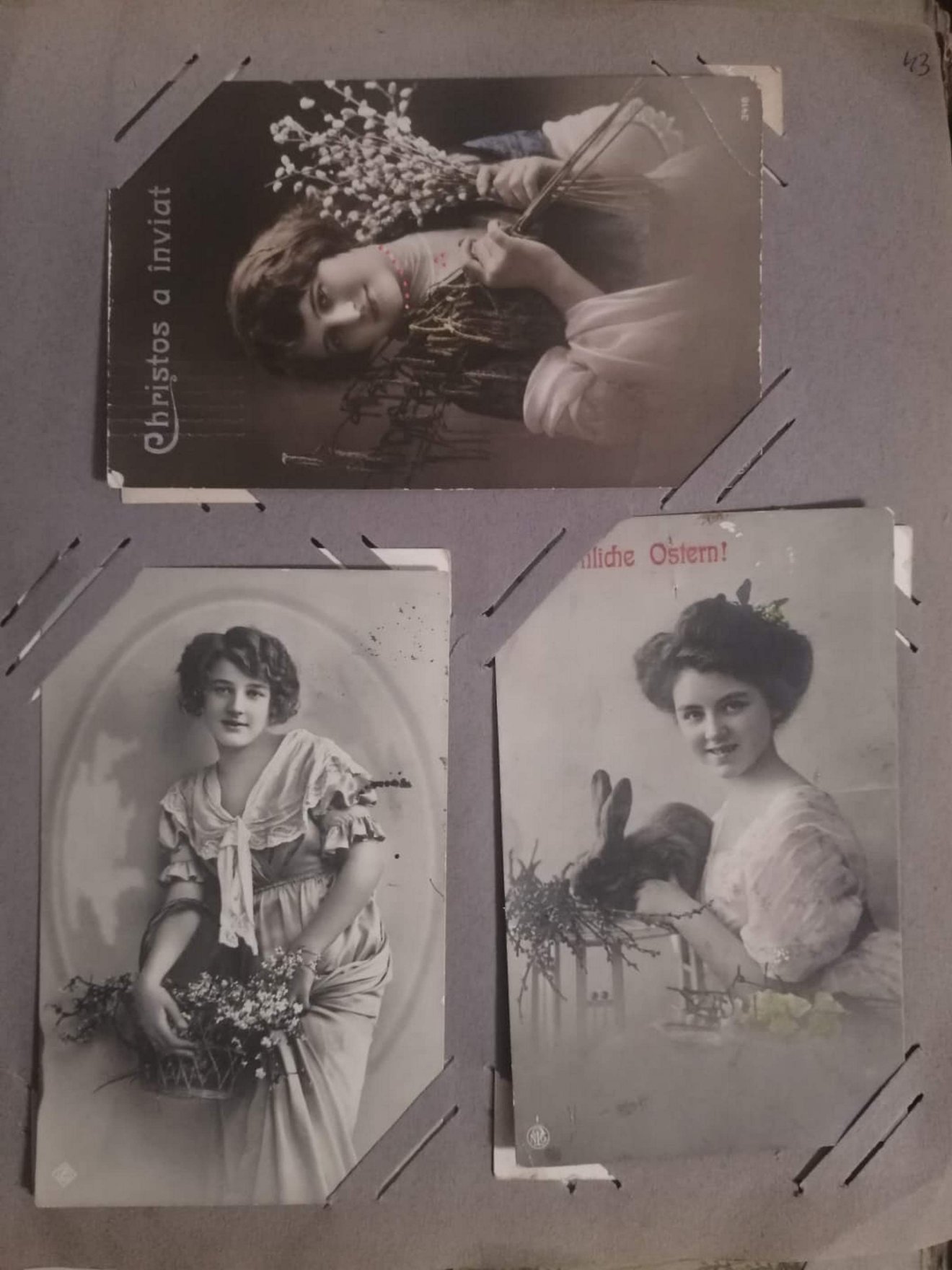 Nyúl és barka ...magyarázat több is van a jelenlétükre, de vajon melyik az igazi?