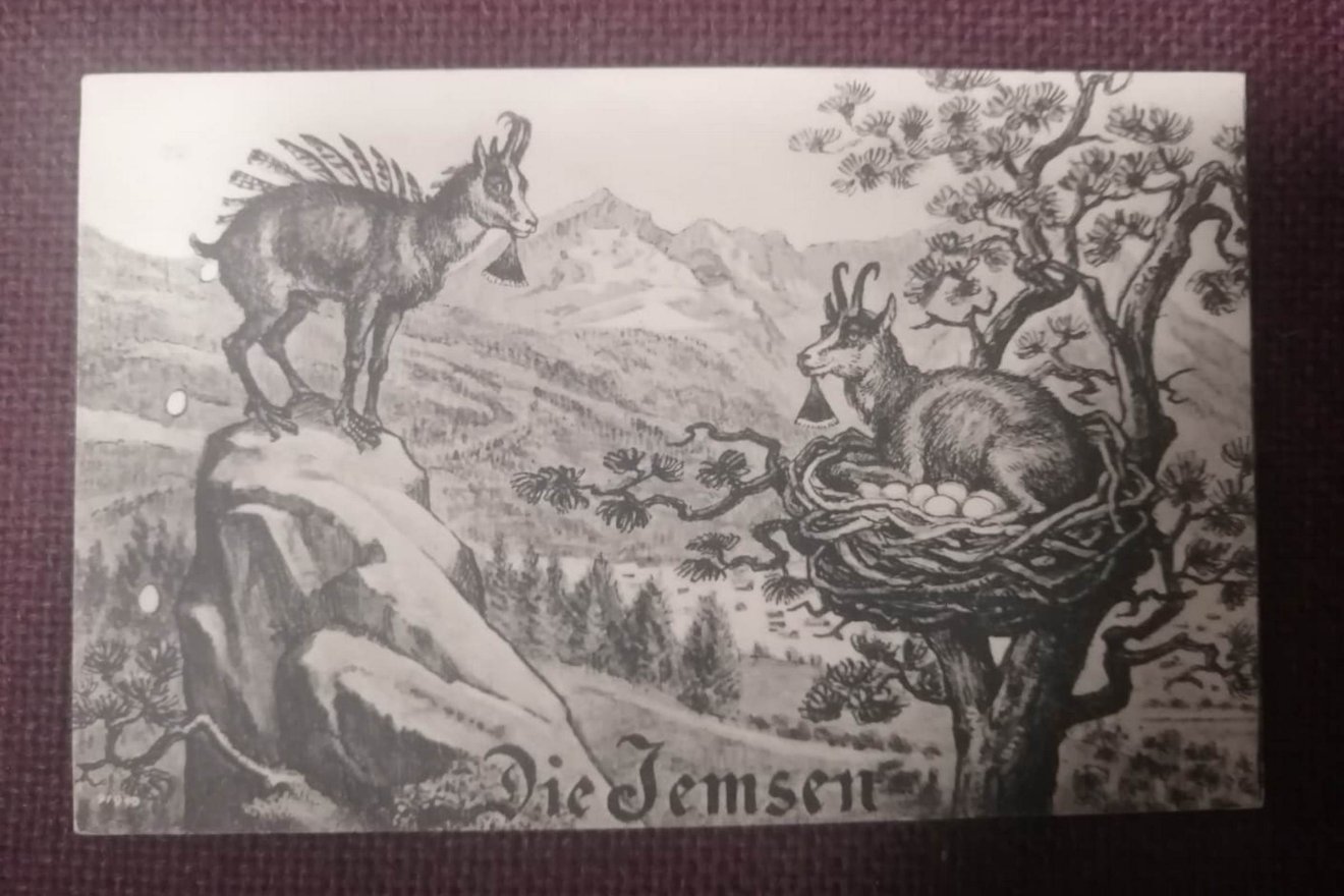 A kecske a báránnyal egyenértékű szimbólum, de nem felénk. Ráadásul itt hegyi kecskéről van szó, fészekben... &bullet;  Fotó: Bodor Tünde