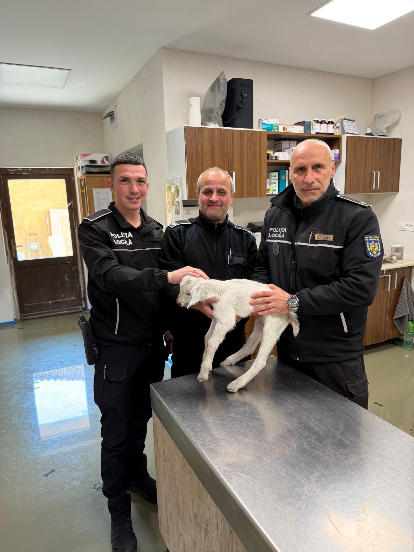 • Fotó: Sepsiszentgyörgyi Helyi Rendőrség