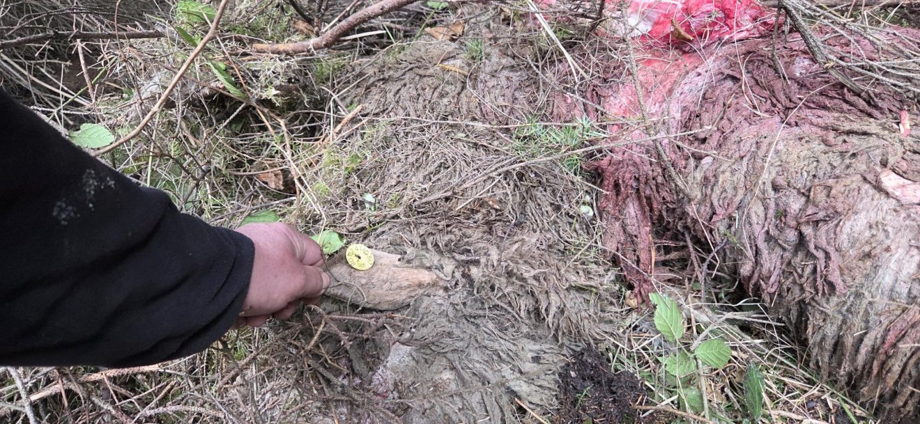 &bullet;  Fotó: Zabola község önkormányzata