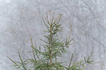 Erős széllel érkezik a lehűlés, havazás is lehet