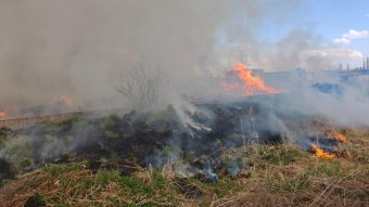 Már több mint két napja küzdenek a tűzzel a ludasi hulladéklerakónál