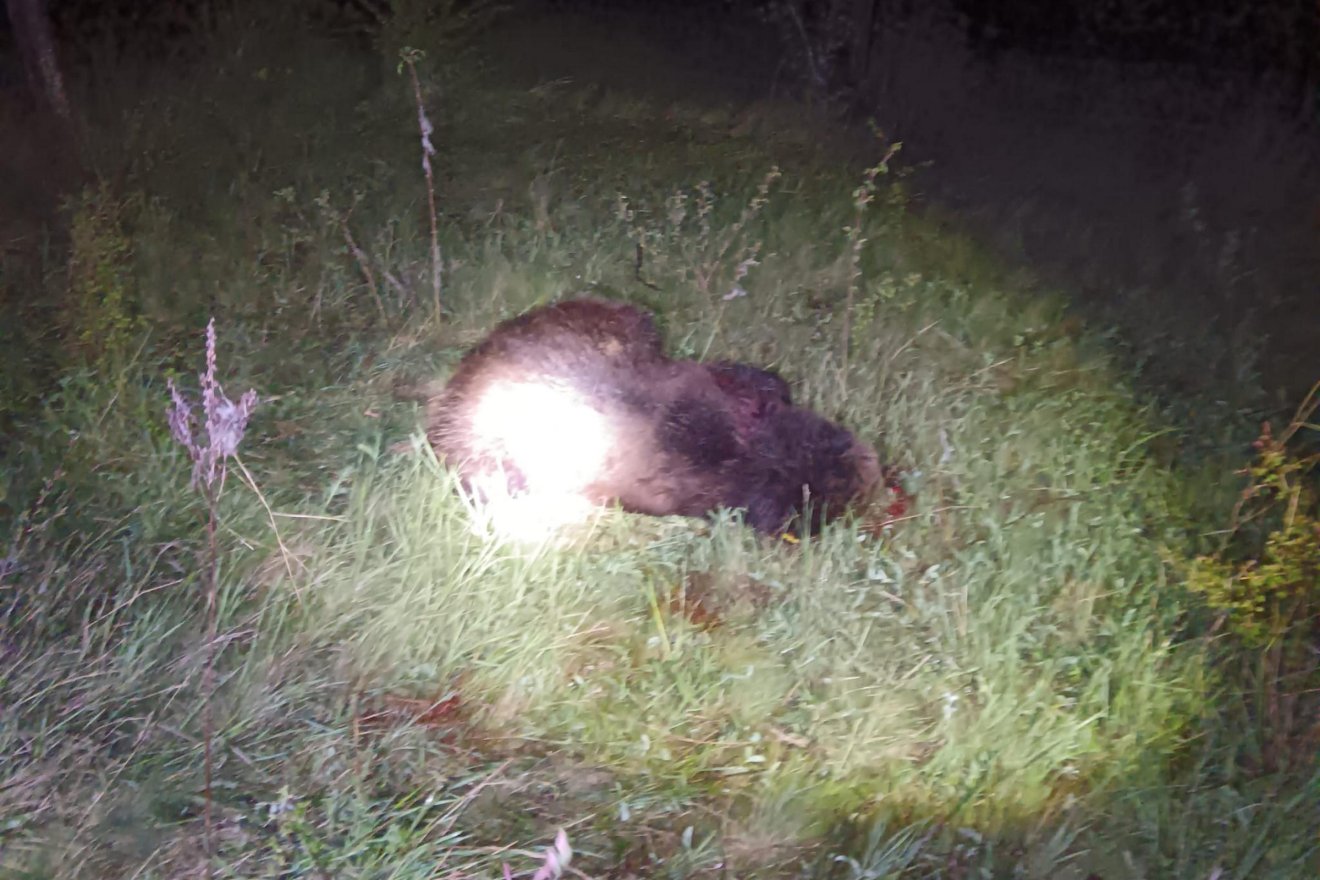 &bullet;  Fotó: Vitályos Lajos