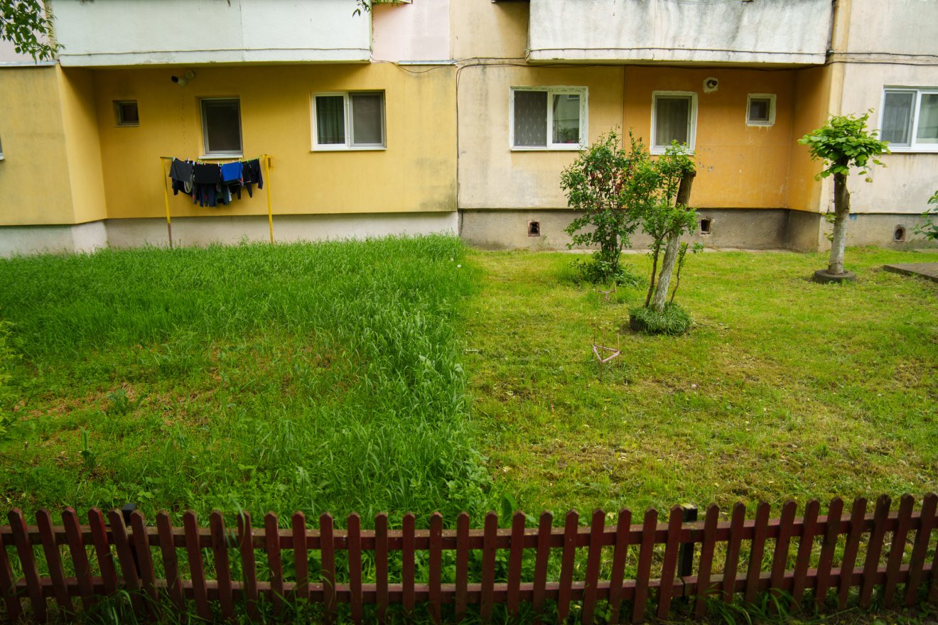 Ki kaszálja a füvet a tömbházak körül?