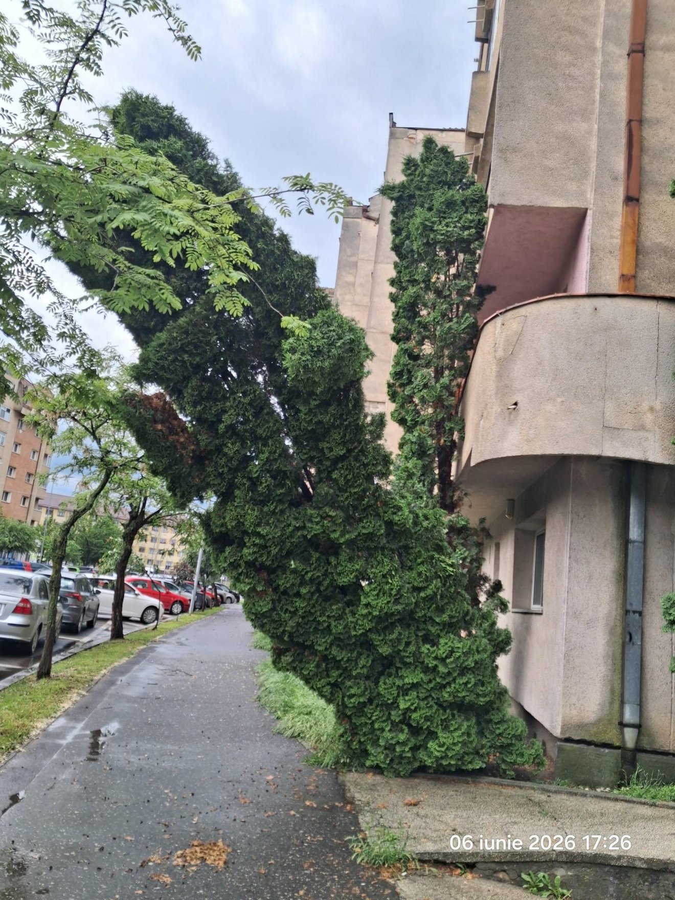 &bullet;  Fotó: Kovászna megyei tűzoltóság