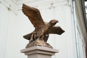 A turulmadár visszaszáll: Sepsiszék