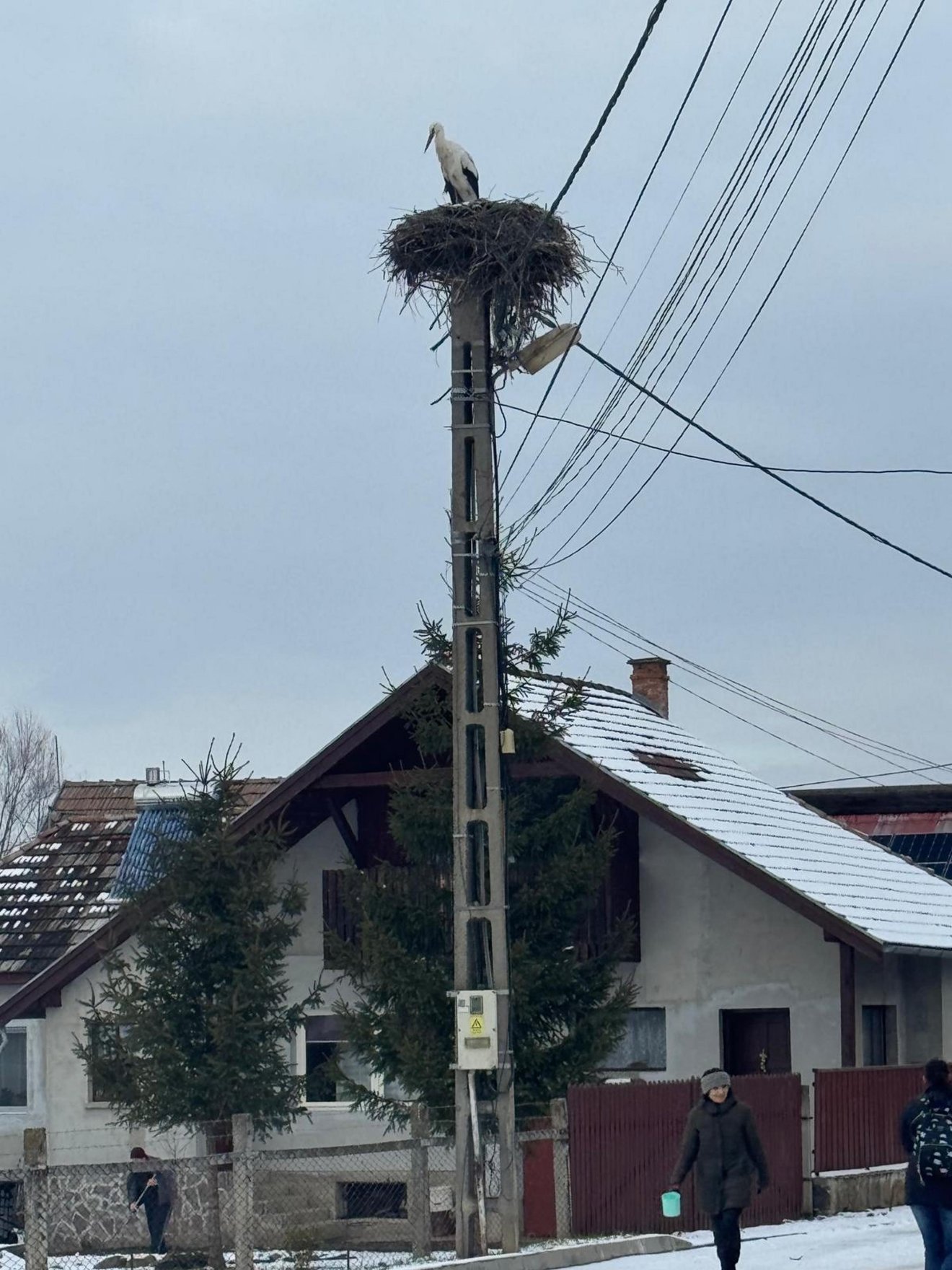 &bullet;  Fotó: Rara Avis Egyesület