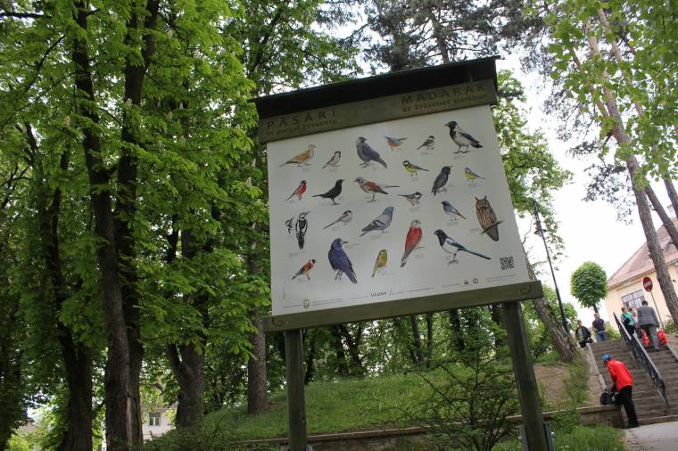 Információs táblát avattak Sepsiszentgyörgyön