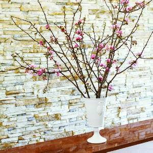 Katalin-nap a néphagyományban