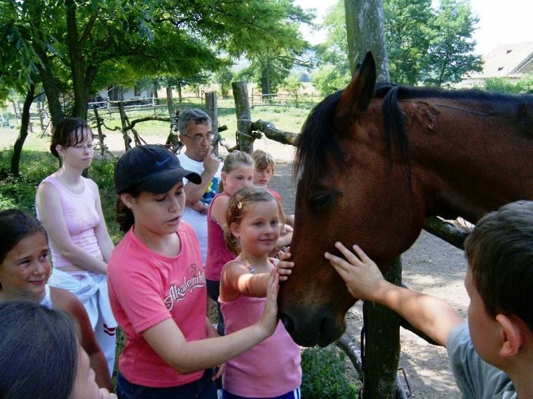 Elkezdődött az első háromszéki lovastábor Benedekmezőn
